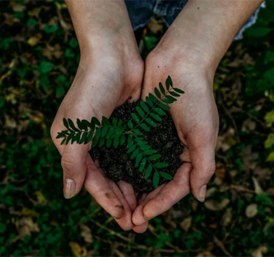 noah-buscher-x8ZStukS2PM-unsplash-dest