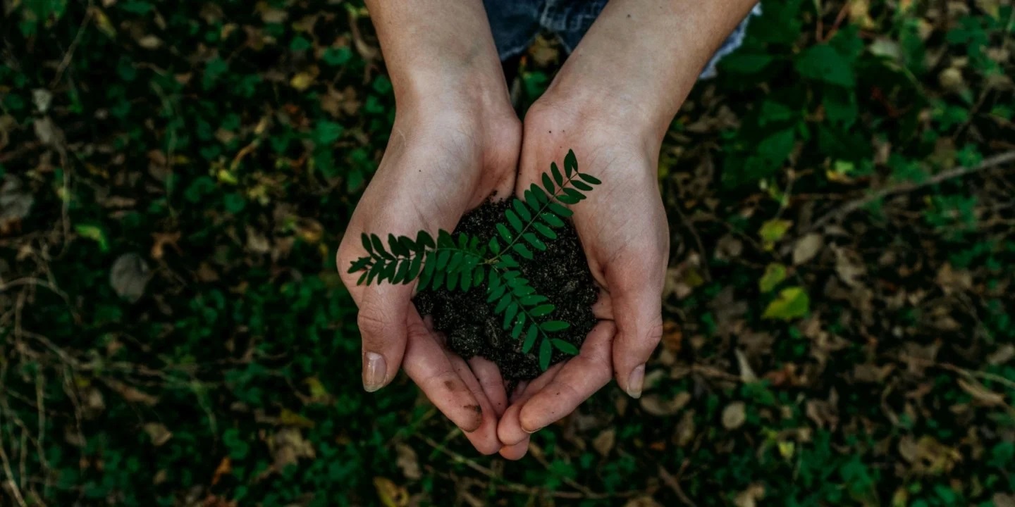 Celebramos el Día del Medio Ambiente con acciones responsables noah-buscher-x8ZStukS2PM-unsplash-scaled-uai-1440x720