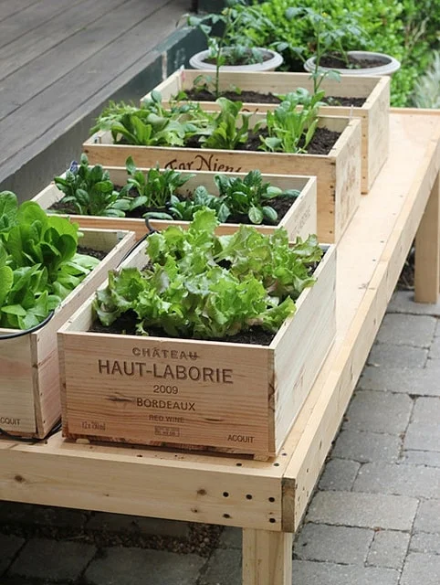 Nueva edición del Mercado de la Huerta A LA PAR, este domingo 15 de junio 2814818487308339_RNn0Lx1U_f-min