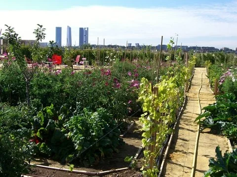 Nueva edición del Mercado de la Huerta A LA PAR, este domingo 15 de junio CIMG2317-min