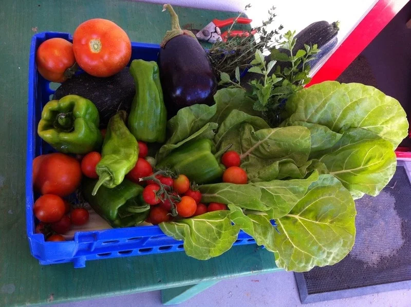 Nueva edición del Mercado de la Huerta A LA PAR, este domingo 15 de junio IMG_2486-min