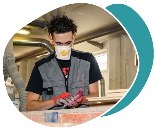 Servicios Profesionales