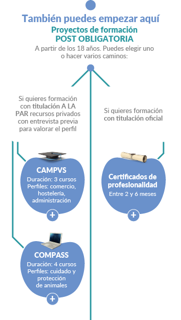 Recorrido formativo